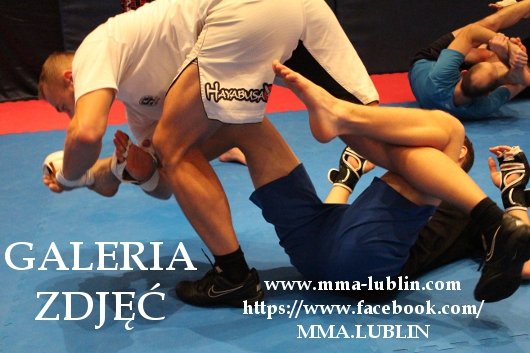 treningi mma lublin zapisy galeria zdjec